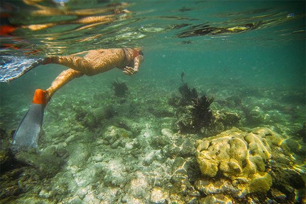 Snorkeling Inshore Reefs